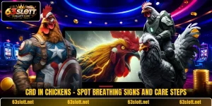 CRD In Chickens - Spot Breathing Signs And Care Steps