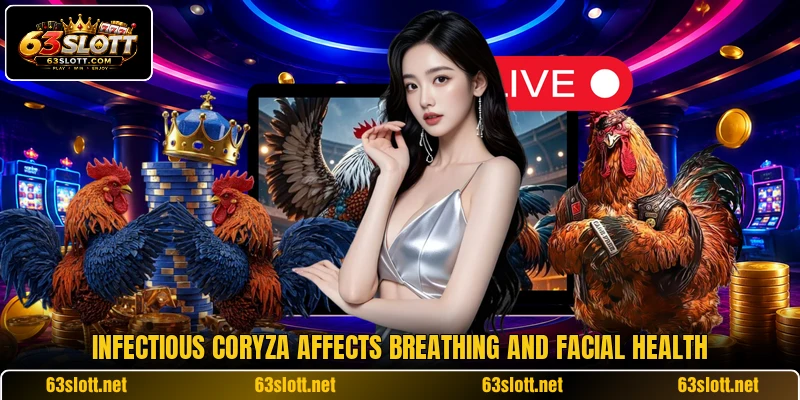 Infectious Coryza affects breathing and facial health