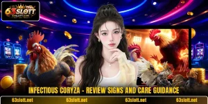Infectious Coryza - Review Signs And Care Guidance